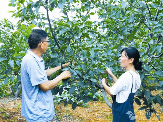 奉贤泰日社区现在有多少人口_人口普查(3)